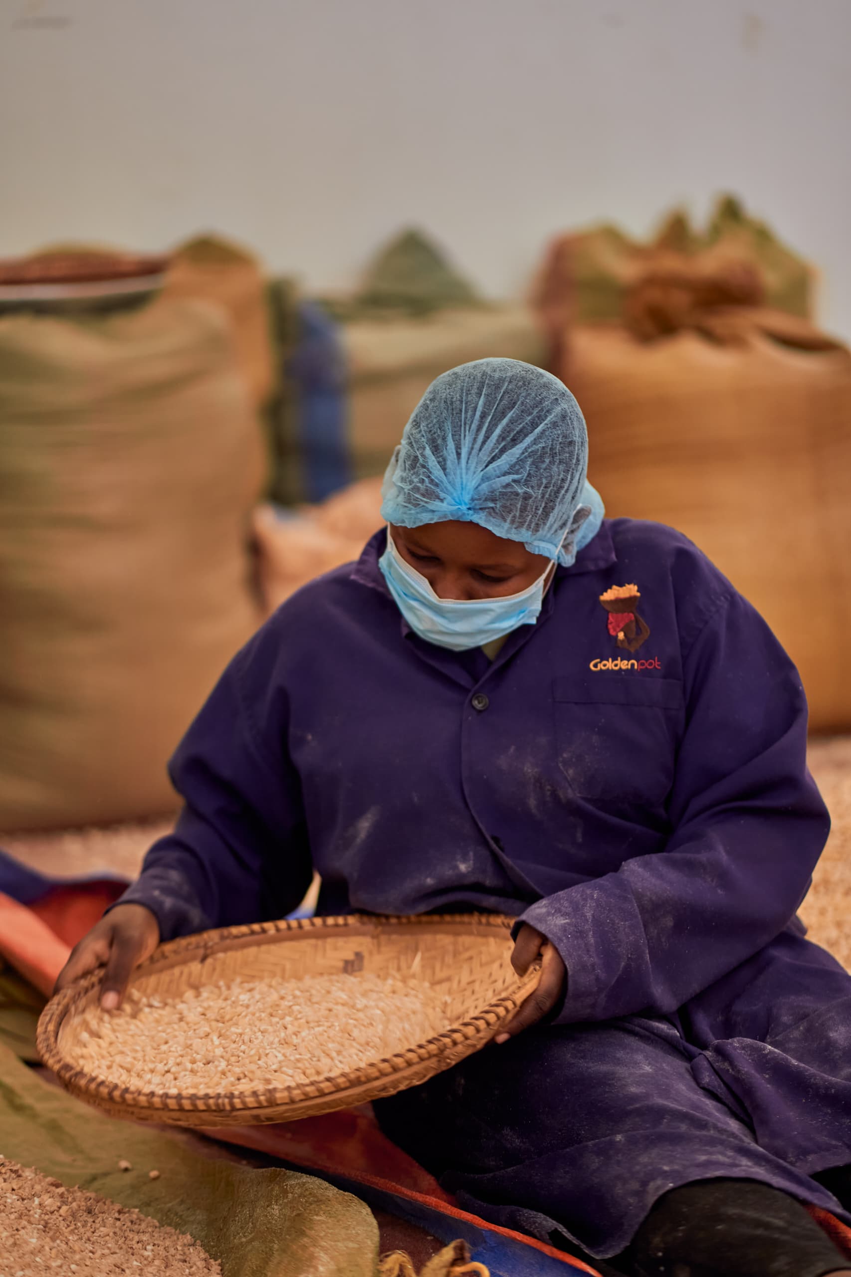 Seeds of Sustainability: Our Environmental Promise to Tanzania's Farming Communities